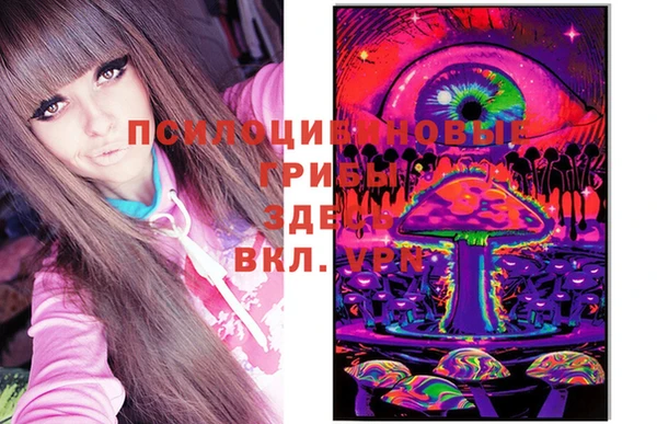 не бодяженный Ельня