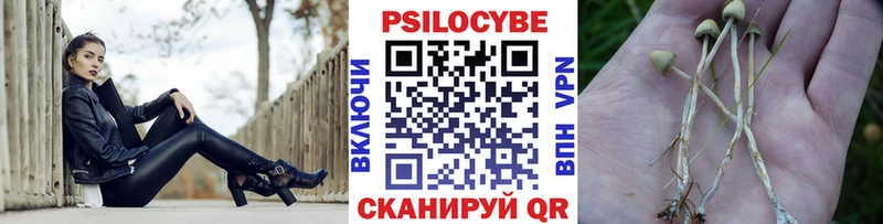 Галлюциногенные грибы GOLDEN TEACHER  Купить  Задонск 